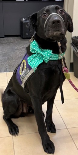 k9