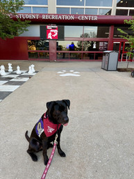 KT in front of SIU Student Rec Center